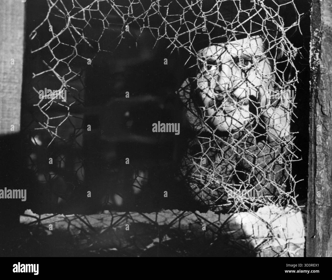 Der ägyptische Schauspieler Omar Sharif im Film Doctor Shiwago, USA 1965 Stockfoto