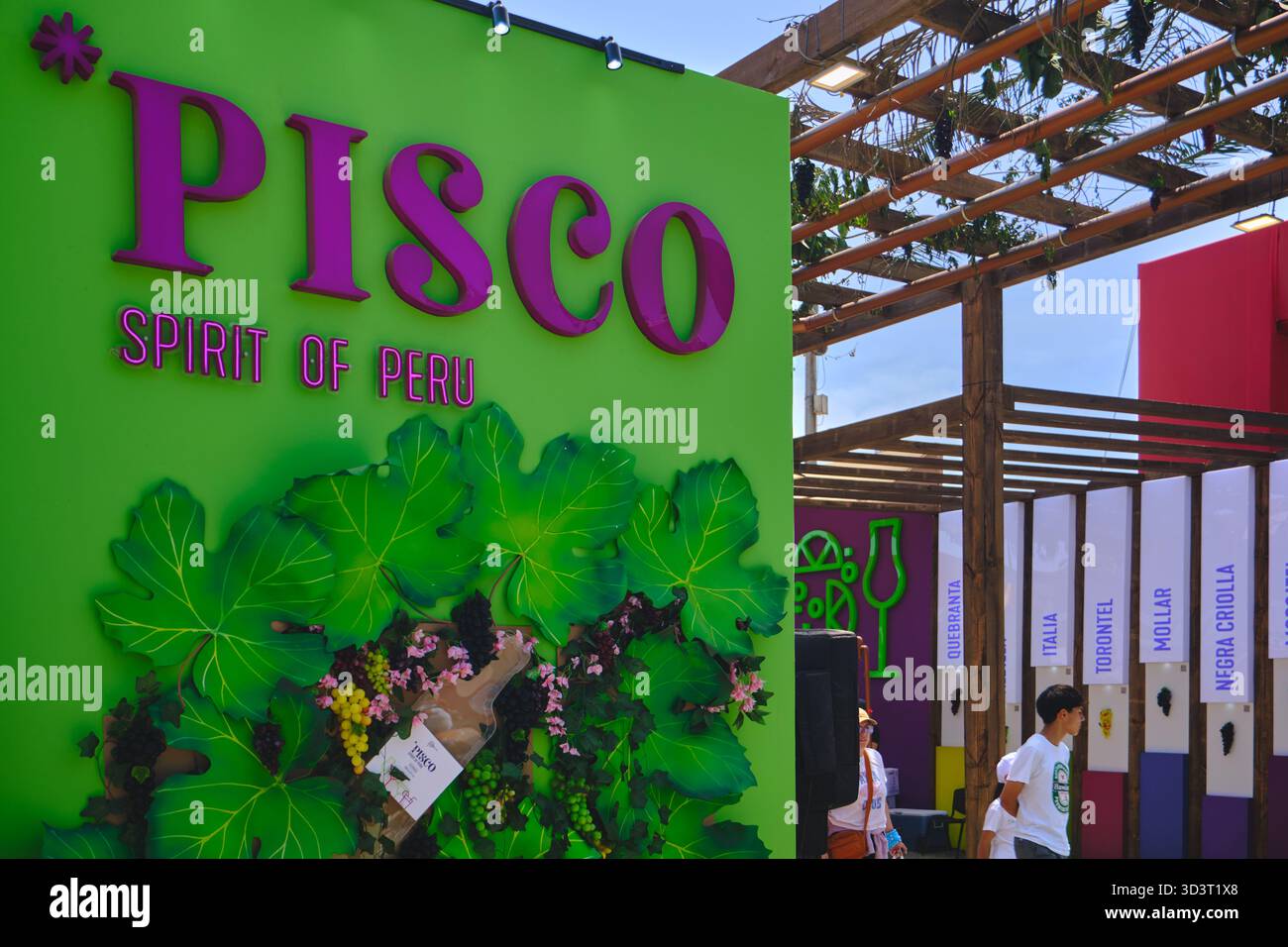 Lima, peru. 1. november 2025: pisco-Schild mit Traubenblättern und Sortennamen auf der Messe Mucho gusto peru Stockfoto