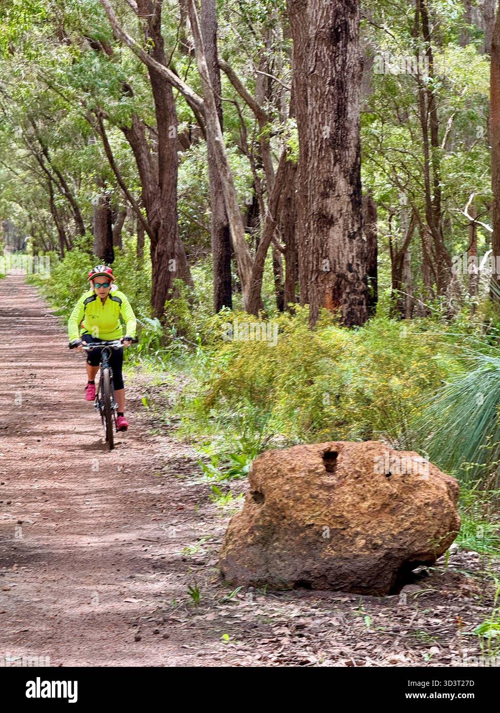 Weibliche Radfahrerin, die auf einem flachen Barrad entlang des Wadandi Track Margaret River in Western Australia fährt - Smartphone-aufgenommenes Stockfoto