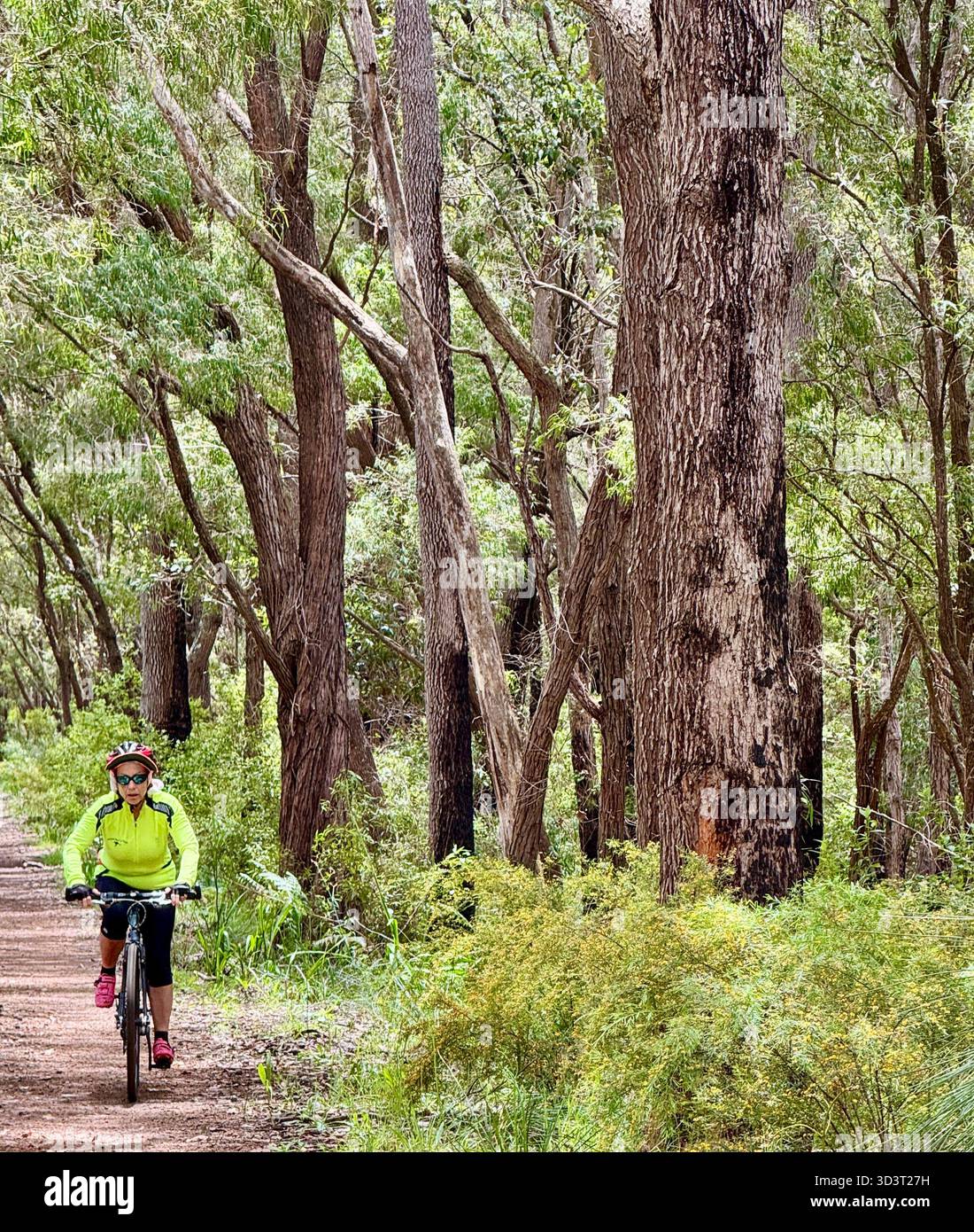 Weibliche Radfahrerin, die auf einem flachen Barrad entlang des Wadandi Track Margaret River in Western Australia fährt - Smartphone-aufgenommenes Stockfoto