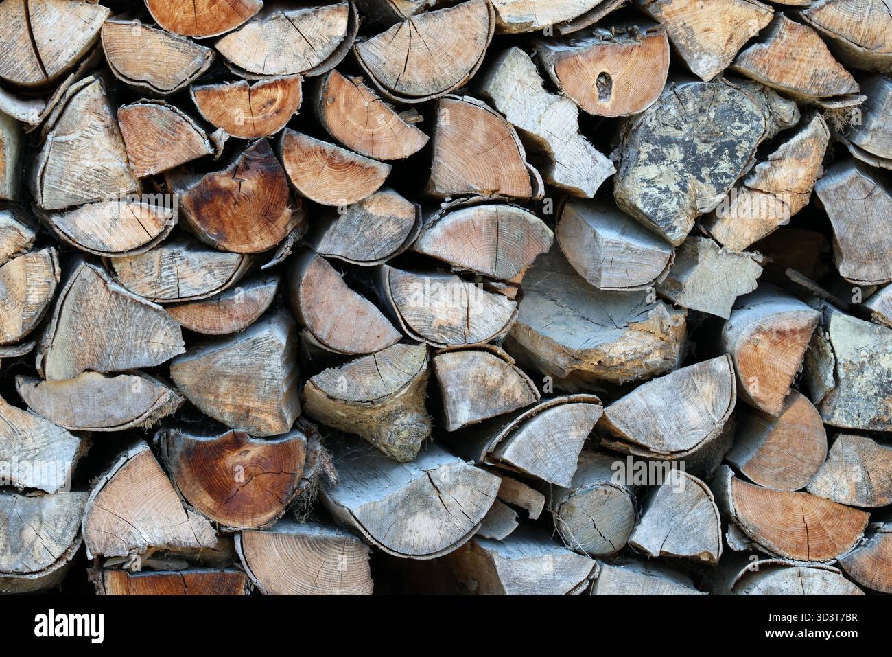 Feuer Holzfeuer in einer Feuerschüssel Stockfoto