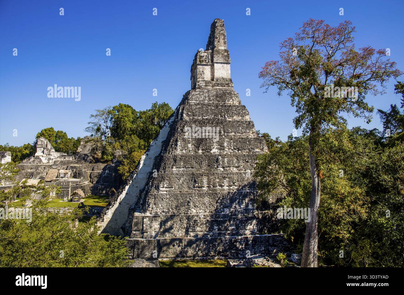 Tempel 1, Tempel des Großen Jaguar, Tikal, größter Maya-Zeremonialkomplex Stockfoto