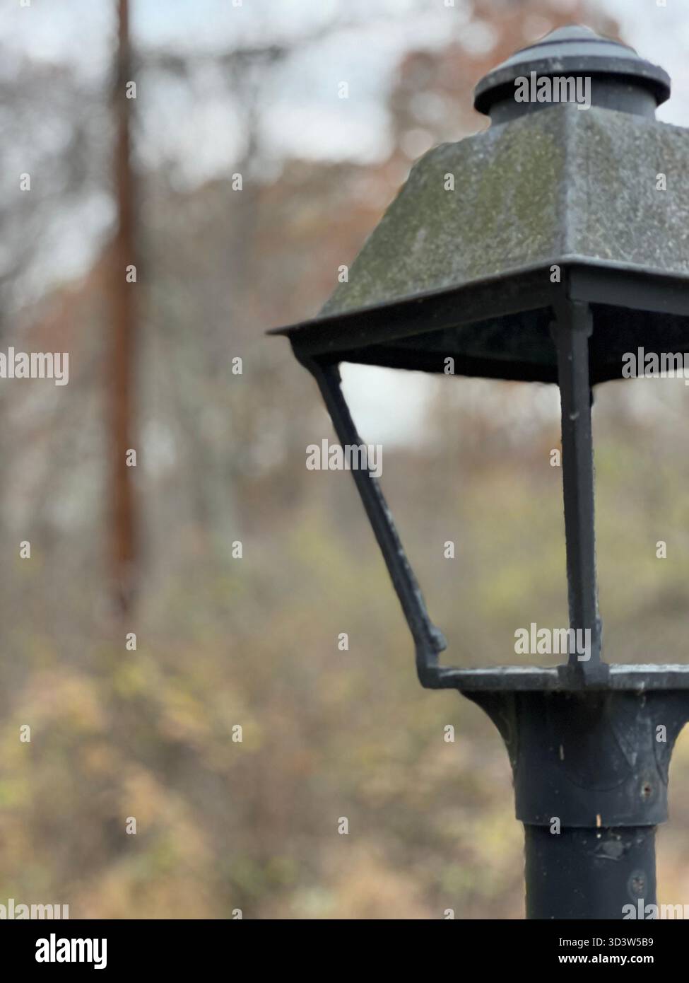 Alte schwarze Metall-Gartenlaterne Nahaufnahme mit verschwommenem Herbsthintergrund - Smartphone-aufgenommenes Stockfoto