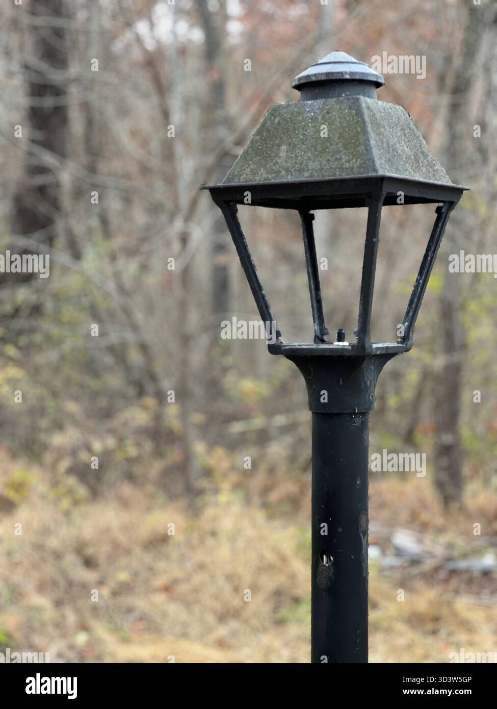 Vintage-Gartenlaterne aus schwarzem Metall in herbstlicher Waldlandschaft - Smartphone-aufgenommenes Stockfoto