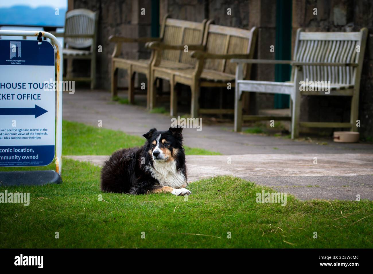 Leuchtturmhund Ted am Ardnamurchan Point, Westküste Schottlands Stockfoto