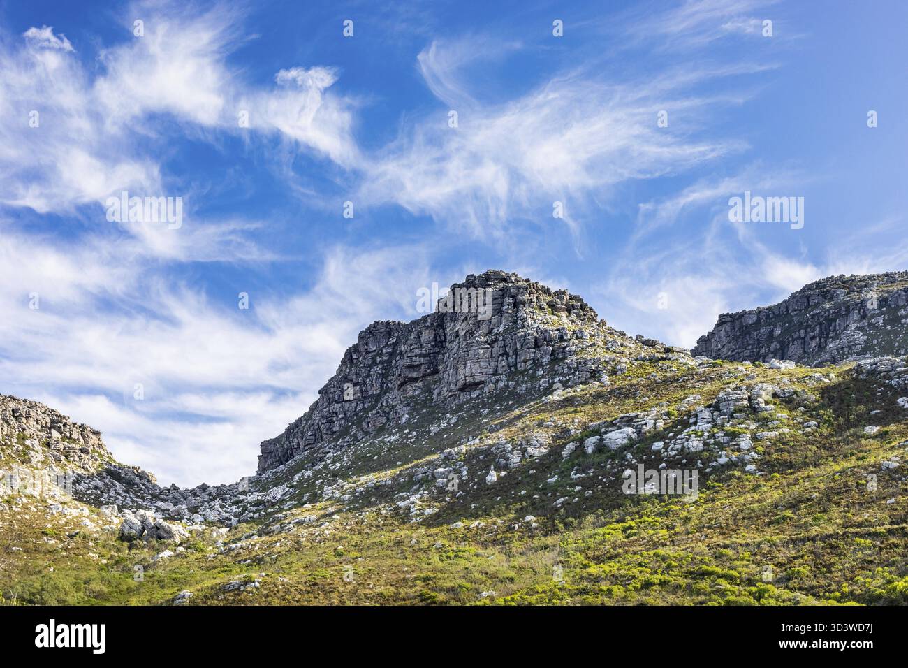 Zerklüftete Berglandschaft mit Fynbos-Buschflora in Kapstadt Südafrika, Kapstadt, Südafrika Stockfoto
