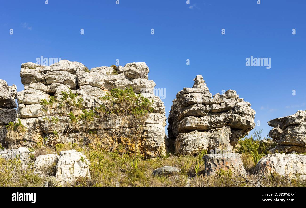 Zerklüftete Berglandschaft mit Fynbos-Buschflora in Kapstadt Südafrika Stockfoto