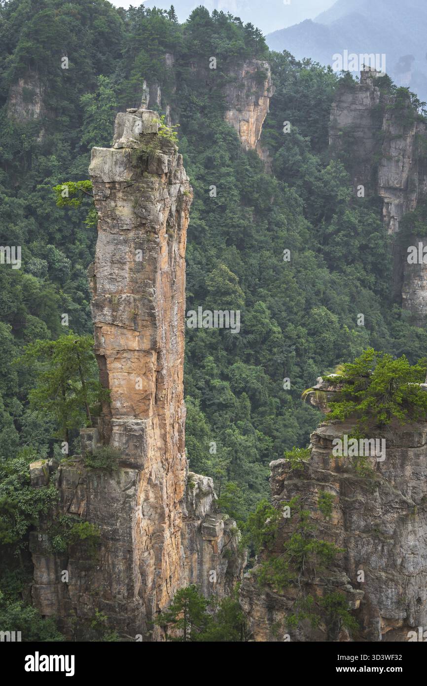 Vertikale Ansicht der steinernen Pfeiler der Tianzi Berge in Zhangjiajie National Park, einer berühmten Touristenattraktion, Landschaftspark Wulingyuan gelegen, Provinz Hunan, China Stockfoto