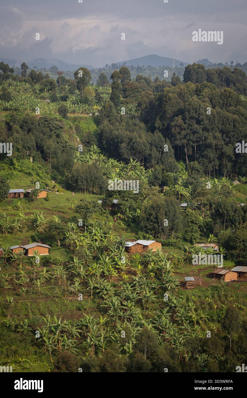 Häuser am Mount Elgon in der Nähe der Sipi Falls, Kapchorwa, Uganda, Ostafrika Stockfoto