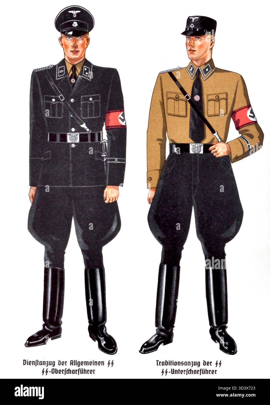 Farbtafel aus dem Organisationsbuch der NSDAP von 1943 mit allgemeinen SS-Uniformen, einschließlich Dienstkleidung für SS-Oberscharführer und traditioneller Uniform für SS-Unterscharführer. Veröffentlicht unter Robert Ley vom Reichsorganisationsamt. Stockfoto