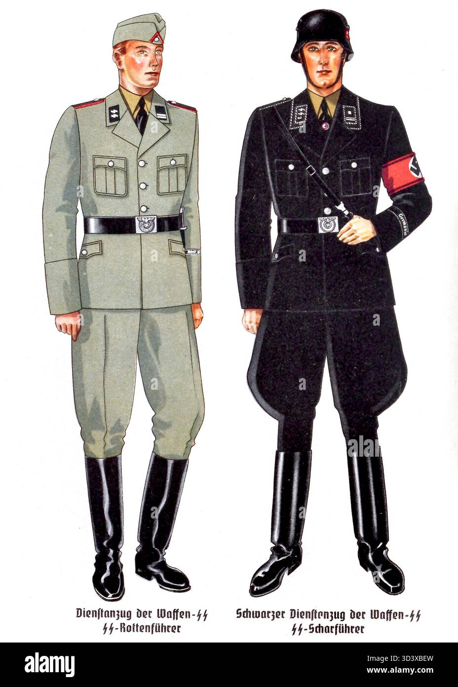 Farbtafel aus dem Organisationsbuch der NSDAP von 1943 mit Waffen-SS-Uniformen, darunter SS-Rottenführer und SS-Scharführer schwarze Dienstuniformen. Herausgegeben vom Reichsorganisationsamt unter Robert Ley. Stockfoto