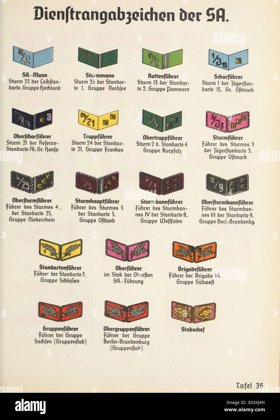 Eine Illustration aus dem *Organisationsbuch der NSDAP* von 1936, die die Uniformen, Rang-Insignien und Kragenflecken der SA (Sturmabteilung), des paramilitärischen Flügels der NSDAP, zeigt. Stockfoto