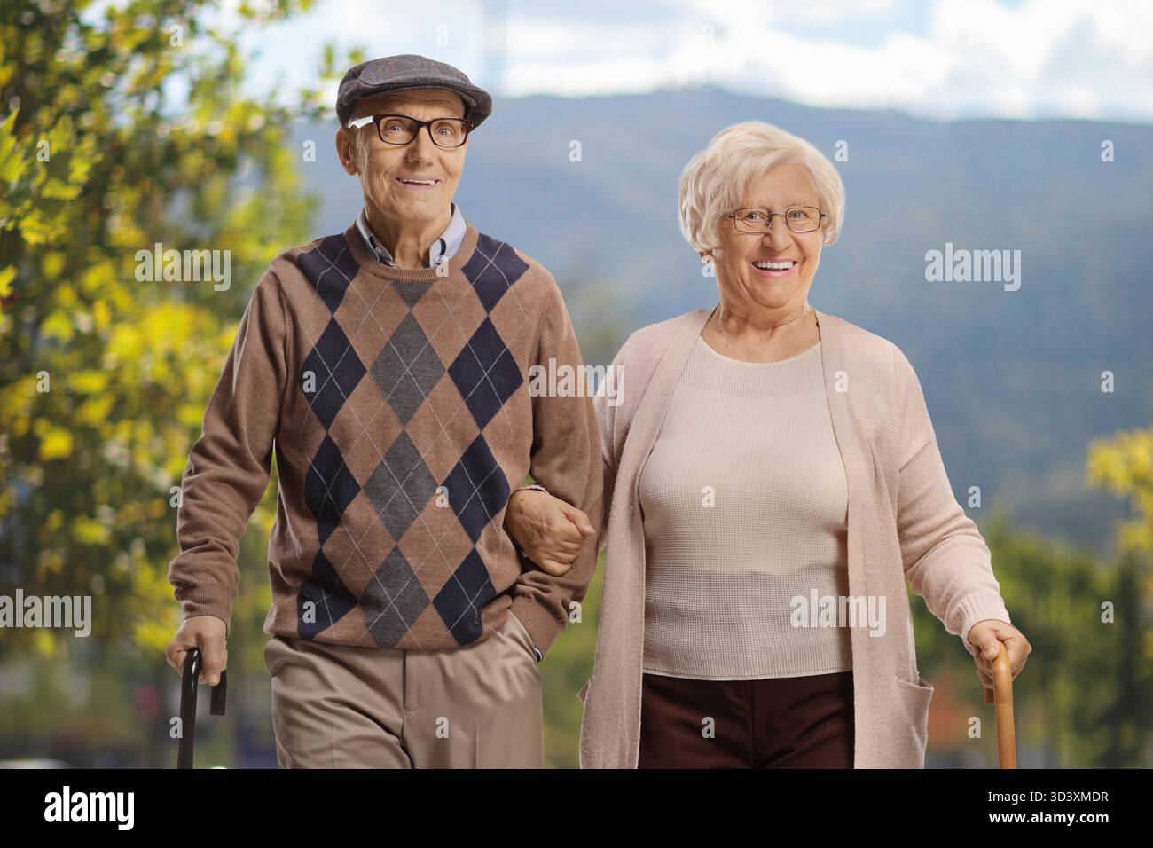 Glückliche ältere Männer und Frauen, die in einem Park spazieren gehen Stockfoto