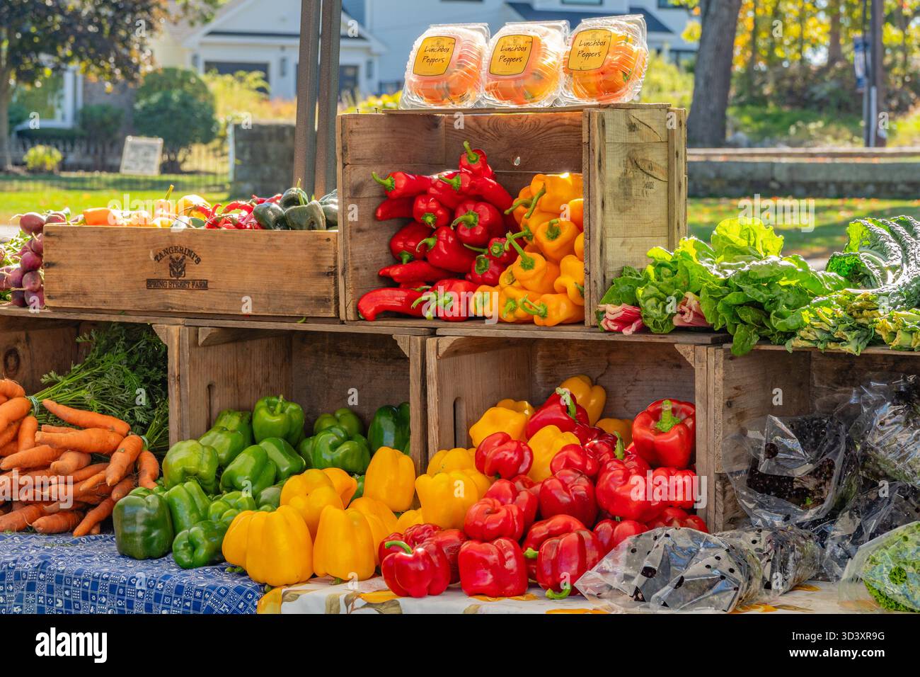 Nahaufnahme verschiedener Gemüse- und Frischprodukte in einem Bauernmarkt im Freien. Stockfoto