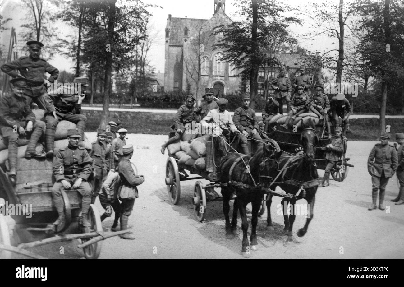 1918 entdeckten niederländische Soldaten während einer Nahrungsmittelknappheit gehortete Nahrungsvorräte. Der Transport erfolgt mit Pferdewagen in Nordholland. Stockfoto