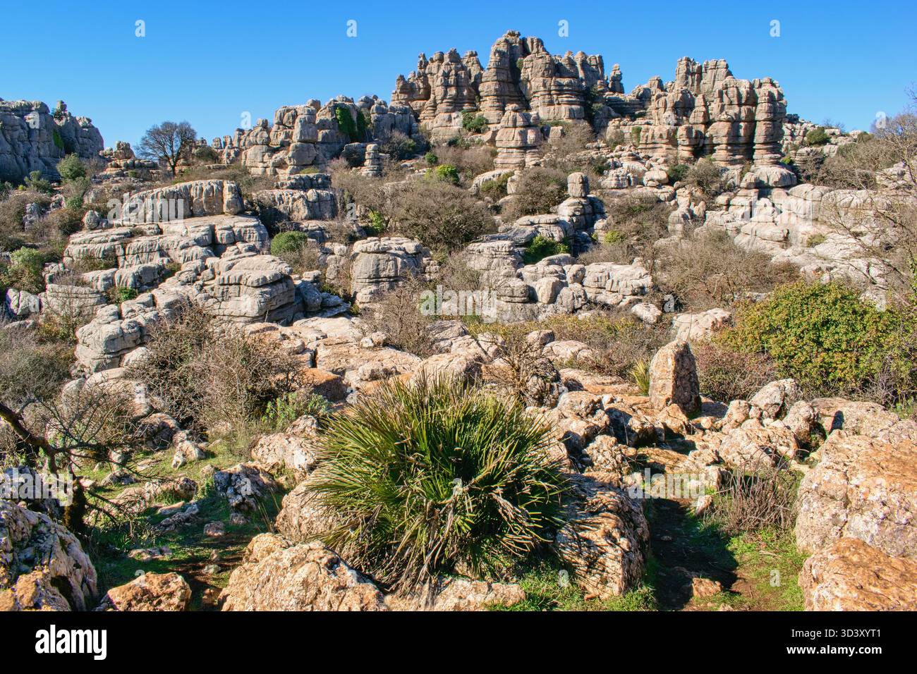 El Torcal de Antequera, Naturschutzgebiet, Provinz Málaga, Spanien Stockfoto