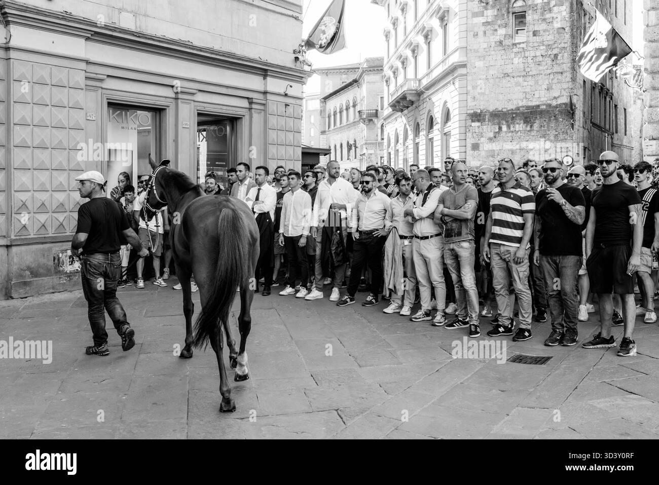 Die Lupa (She Wolf) Contrada begeben sich durch die Straßen der Stadt zur Piazza del Campo für ein abendliches Trial Race, das Palio, Siena, Italien. Stockfoto