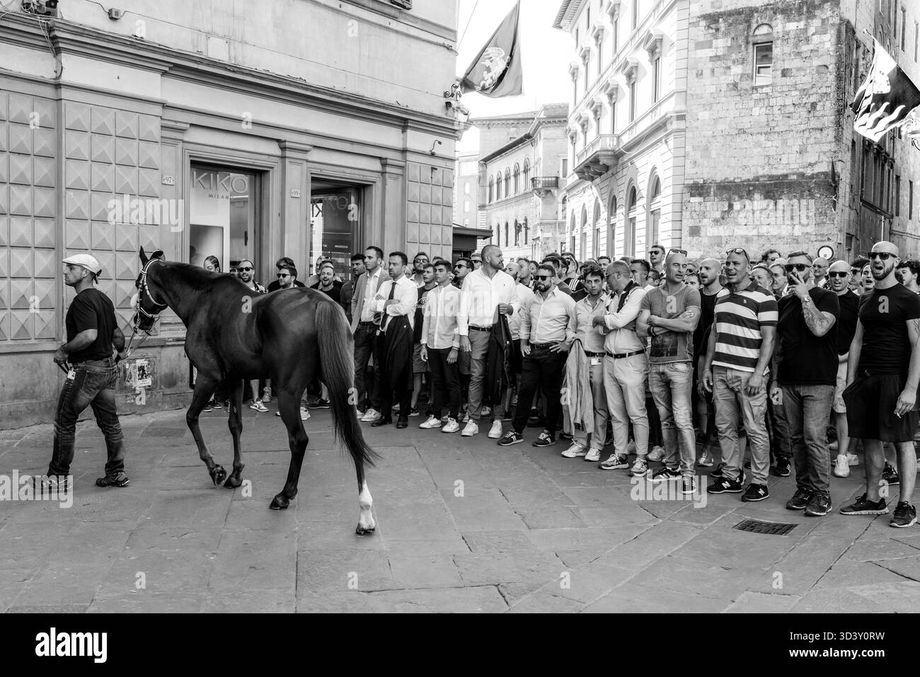 Die Lupa (She Wolf) Contrada begeben sich durch die Straßen der Stadt zur Piazza del Campo für ein abendliches Trial Race, das Palio, Siena, Italien. Stockfoto