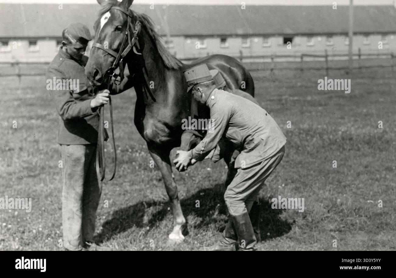 1926 trainierten zwei niederländische Soldaten im Depot Remount in Milligen ein Pferd im Rahmen der militärischen Vorbereitung. Stockfoto