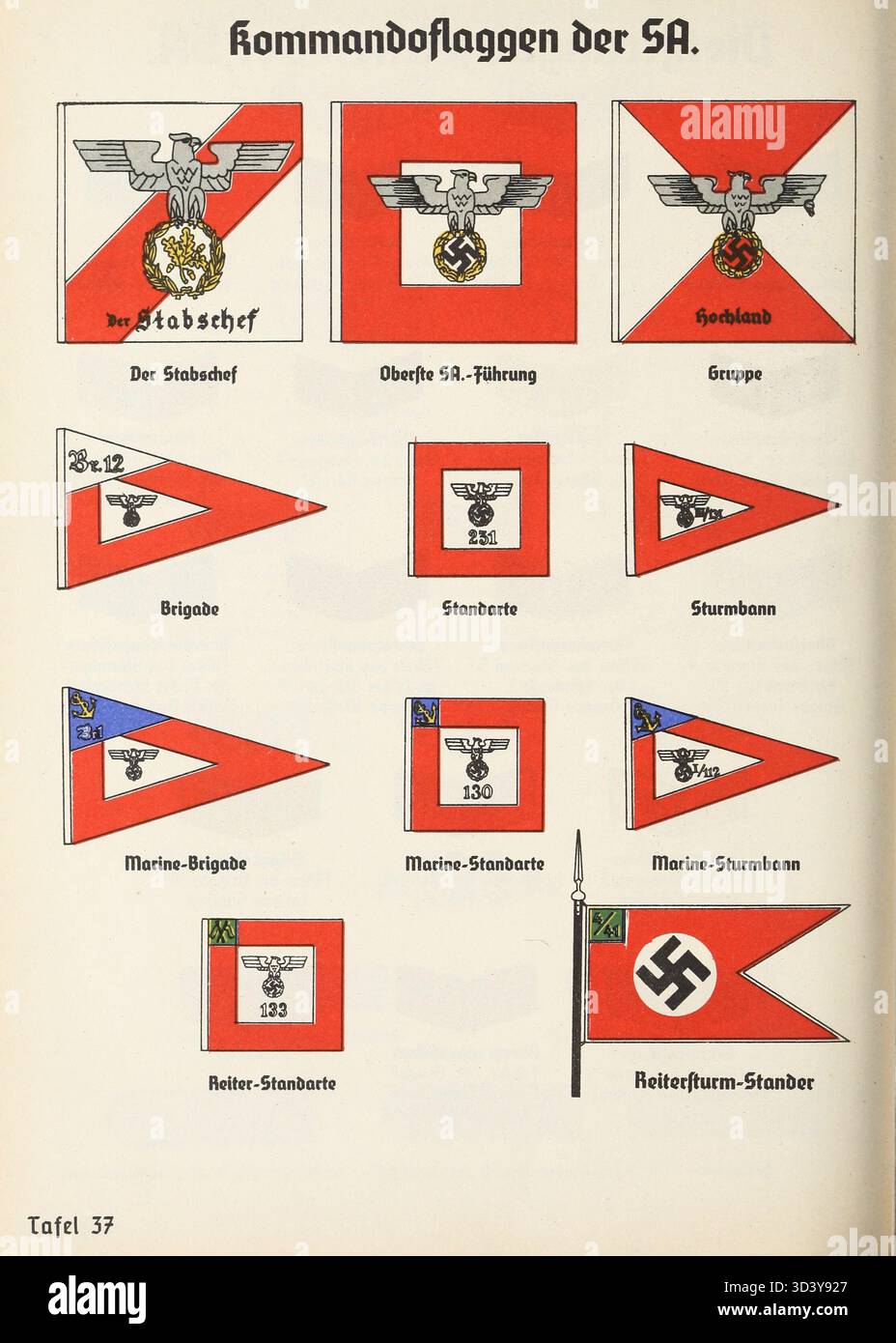 Eine Illustration aus dem Organisationsbuch der NSDAP von 1936, die die Flaggen, Wimpel und andere Normen der SA (Sturmabteilung), einschließlich verschiedener militärischer Ränge und Abzeichen, darstellt. Stockfoto