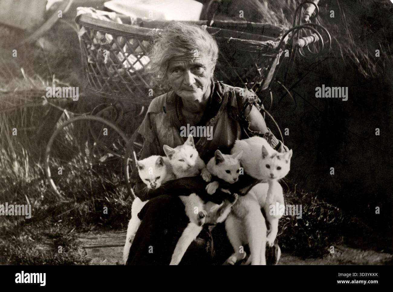 Dieses Foto von 1925 zeigt Iebeltje Kingma, eine Einsiedlerin aus Boven-Knijpe, Friesland, umgeben von ihren Katzen und einem großen Korbwagen. Ihre Situation ist ein schwerer Fall von Selbstvernachlässigung, der ihr isoliertes Leben unterstreicht. Stockfoto