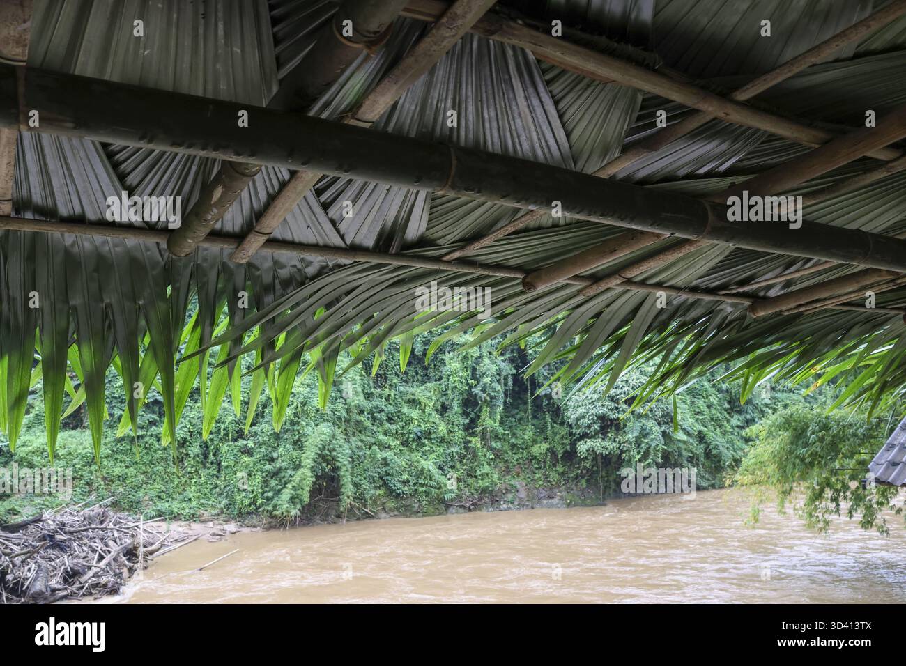 Friedliche Aussicht von der rustikalen Strohdachhütte mit Blick auf den schlammigen Fluss im ruhigen tropischen Dschungel. Die Naturszene im Regenwald weckt ein heiteres Gefühl Stockfoto