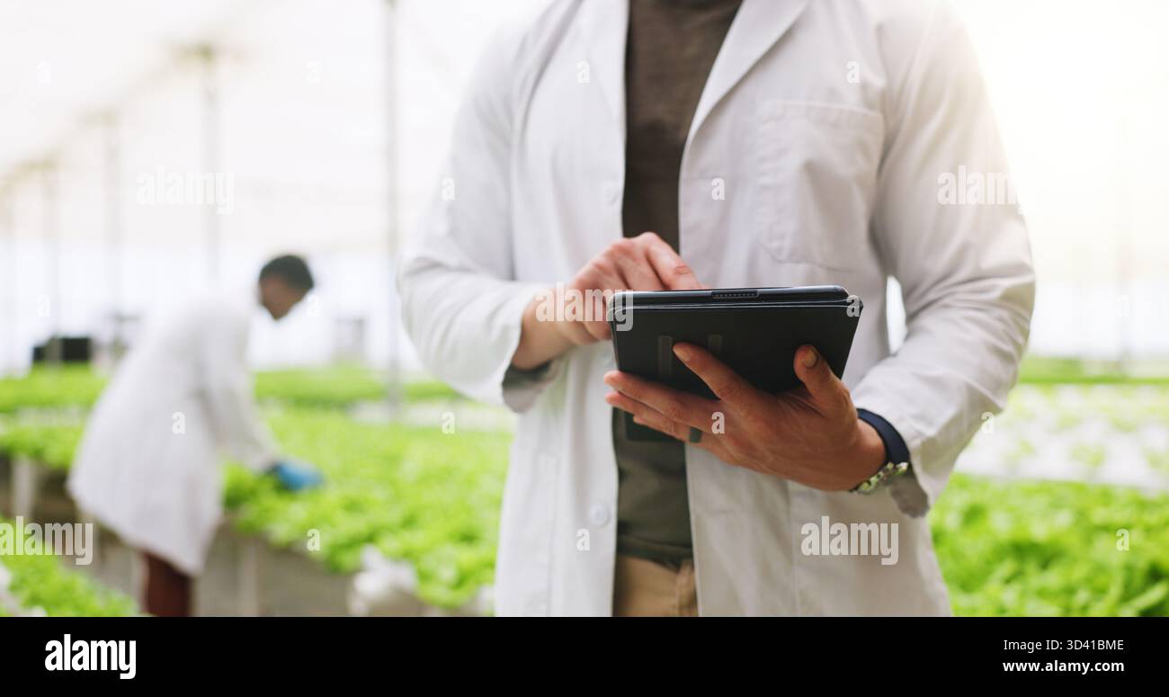 Hände, Tablette und Wissenschaftler in Gewächshäusern für Gemüse, Klick oder Kontrolle auf Wachstum. Mensch, Landwirtschaft und Nachhaltigkeit mit Technologie, Check Stockfoto