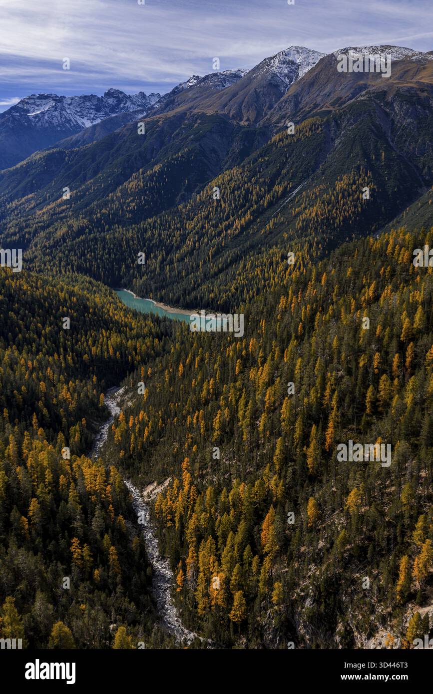 Berglandschaft, wild, unberührt, Nadelwald, sonnig, Flussbett, Herbst, Lärchenwald, Stausee, Luftaufnahme, Val Muestair, Schweizer Nationalstaat Pa Stockfoto