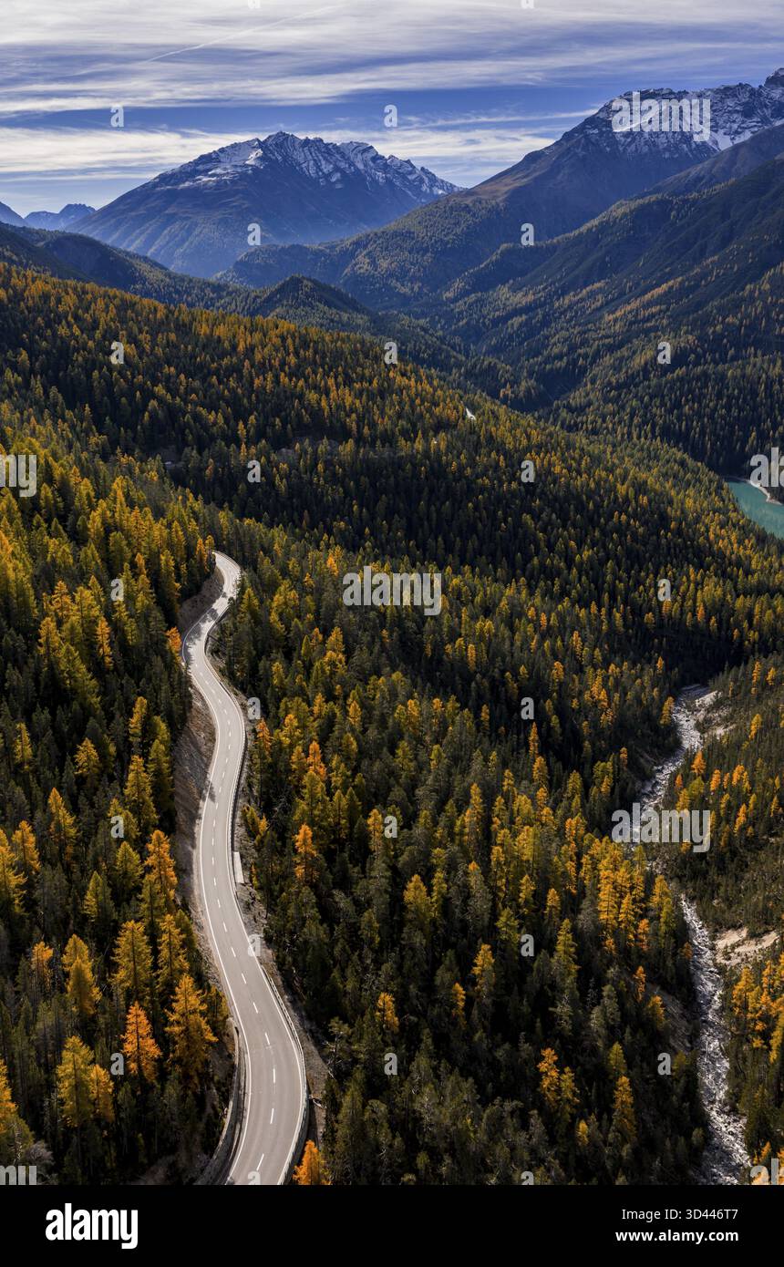 Straße, kurvig, Berglandschaft, wild, unberührt, Nadelwald, sonnig, Flussbett, Herbst, Lärchenwald, Stausee, Blick aus der Vogelperspektive, Val Muestair, Swis Stockfoto