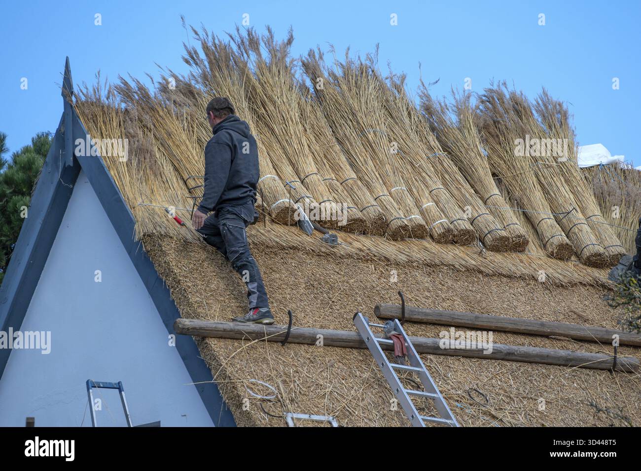 Ein Reetdach ist überdacht, Wieck a. Darss, Ostsee, Mecklenburg-Vorpommern, Deutschland Stockfoto