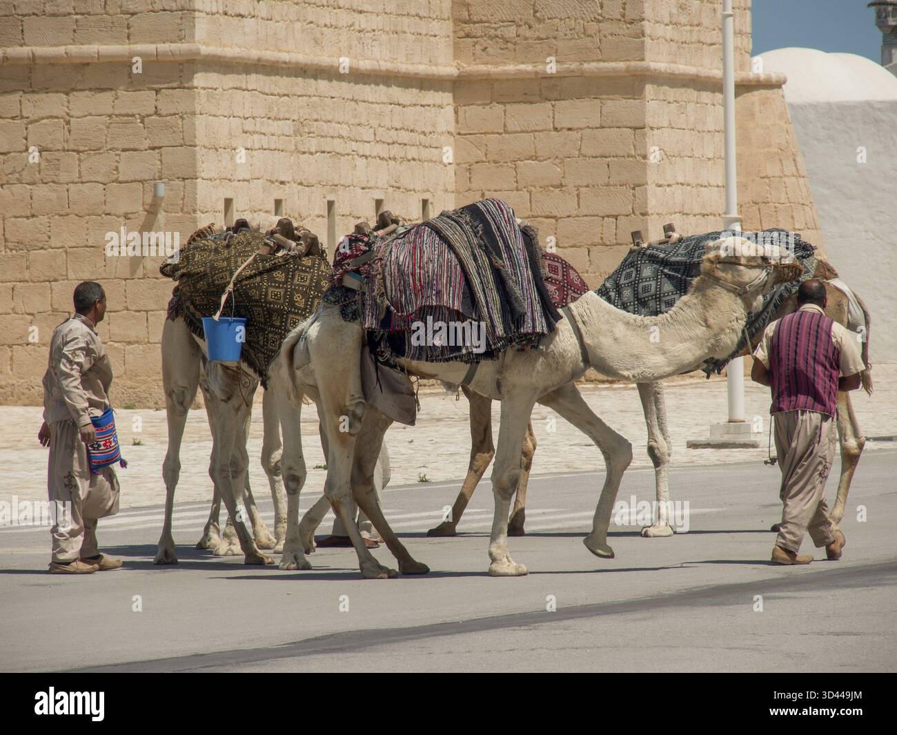 Eine Gruppe von Kamelen, begleitet von Menschen, auf einer Straße in einer Wüstenumgebung, Tunis, Tunesien Stockfoto