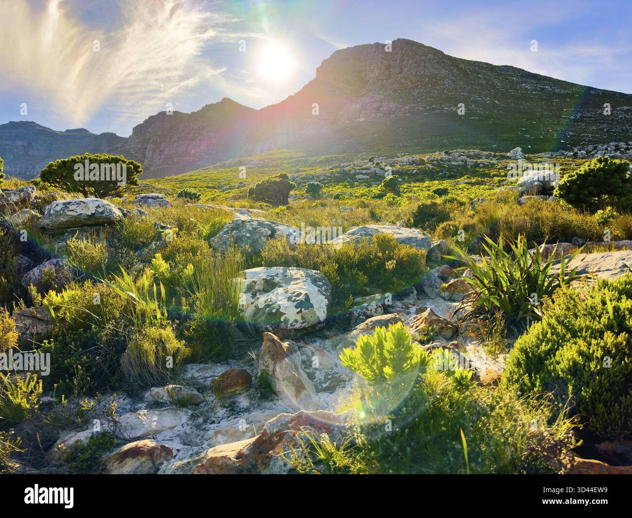 Zerklüftete Berglandschaft mit Fynbos-Flora in Kapstadt, Südafrika Stockfoto