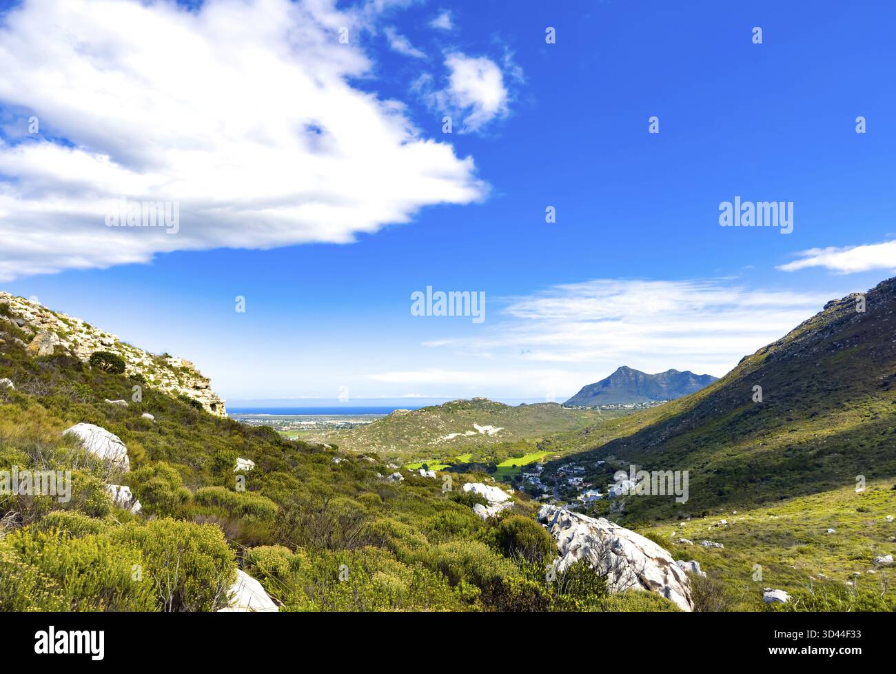 Küstenberglandschaft mit Fynbos Flora in Fish Hoek, Kapstadt Stockfoto