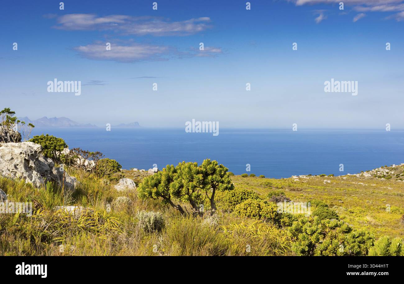 Küstenberglandschaft mit Fynbos Flora in Kapstadt Südafrika, Kapstadt, Südafrika Stockfoto