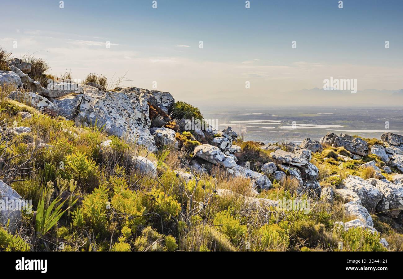 Zerklüftete Berglandschaft mit Fynbos-Buschflora in Kapstadt Südafrika, Kapstadt, Südafrika Stockfoto