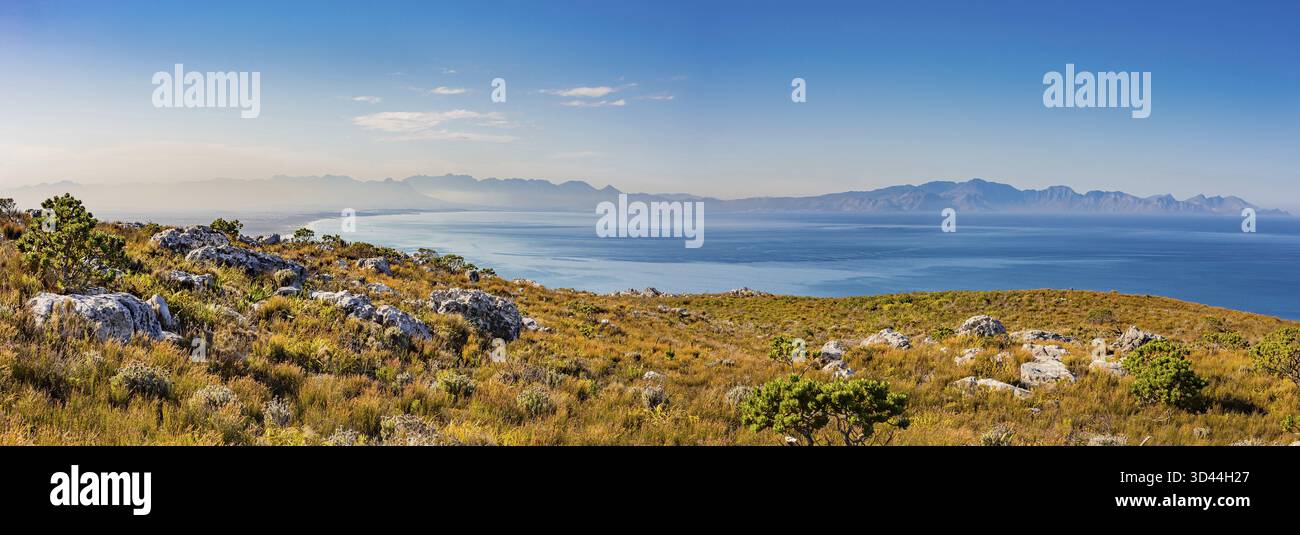 Küstengebirgslandschaft mit Fynbos-Flora in Kapstadt Südafrika Stockfoto