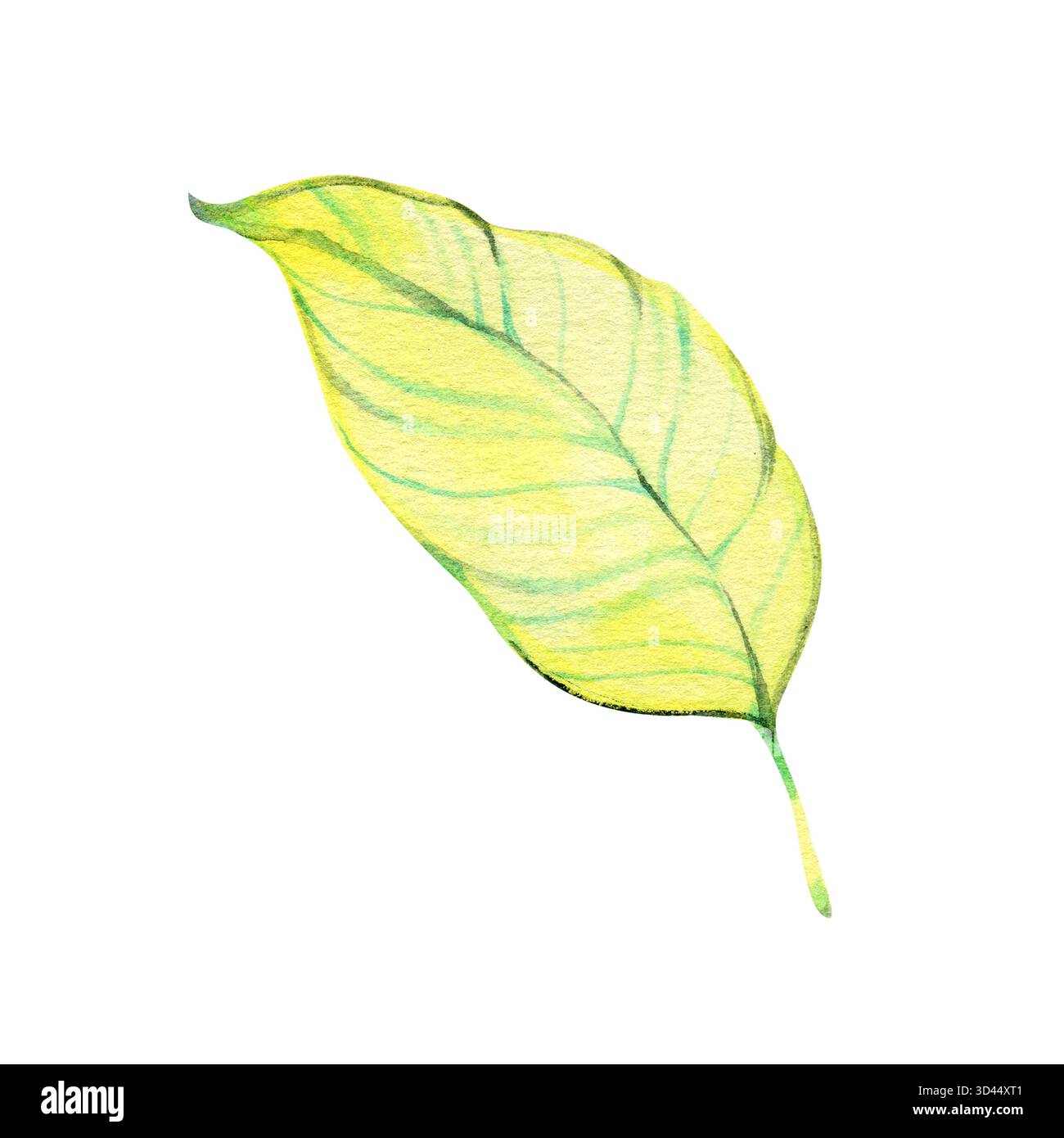 Helle Aquarellillustration eines tropischen Blattes in Grün- und Gelbtönen. Perfekt für botanische Drucke, Sommermotive und exotische Kunstprojekte Stockfoto