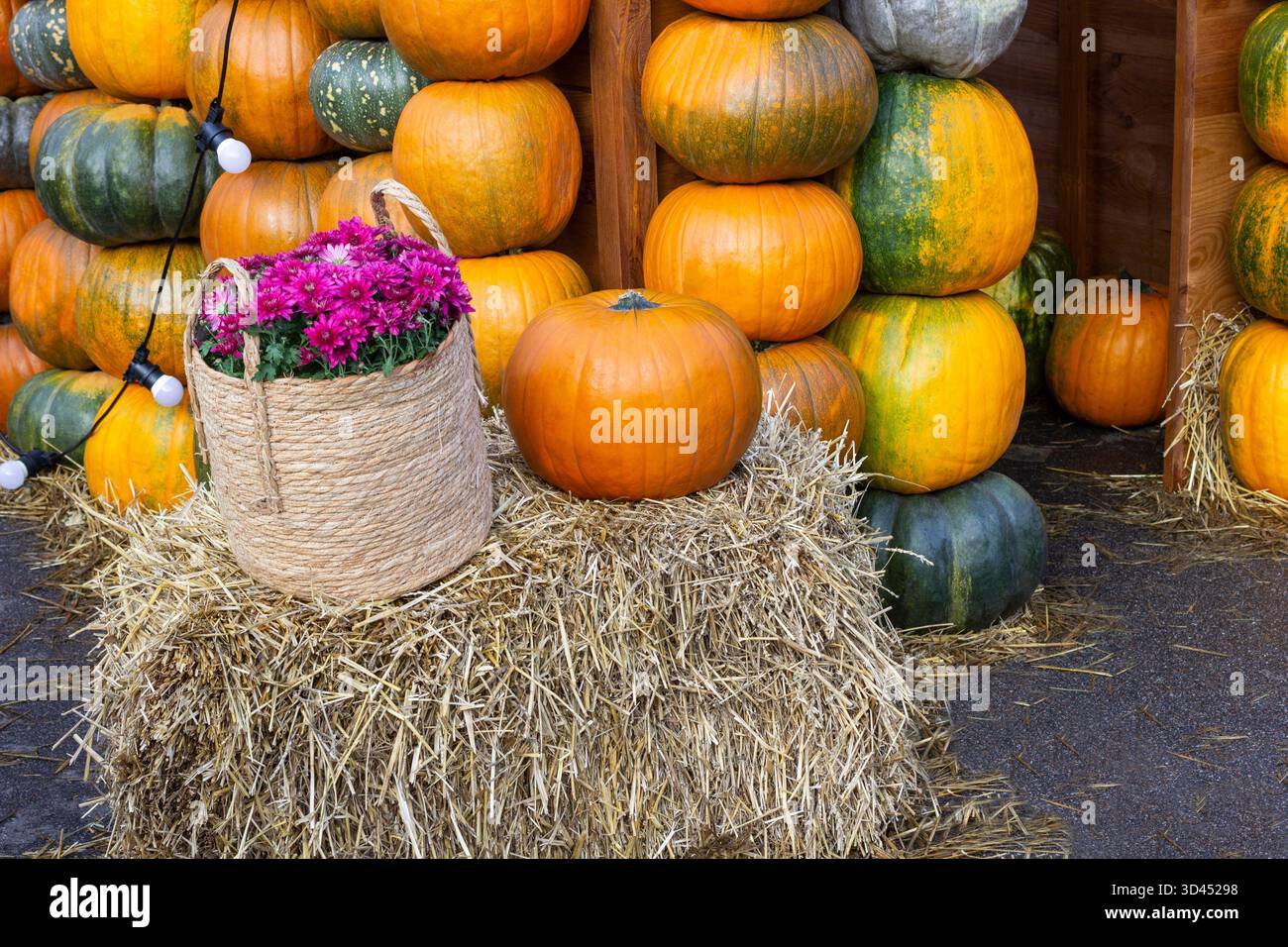 Eine Zusammensetzung aus orangefarbenen und grünen Kürbissen und einem Heu. Stockfoto