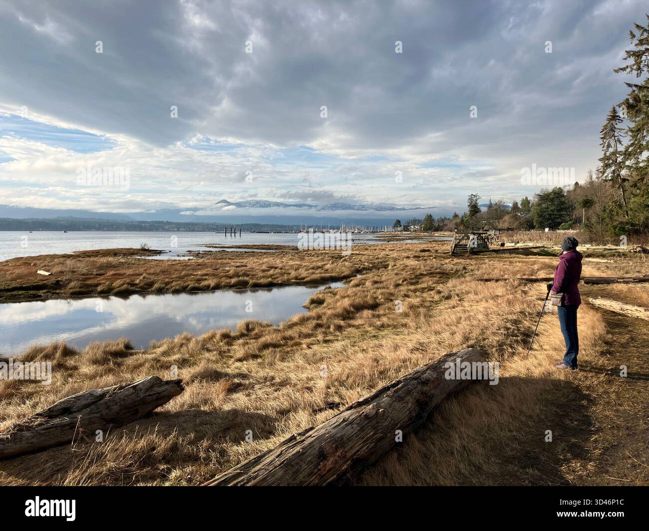 Wanderer auf dem Küstenweg im Baybrook Nature Park, Comox, Vancouver Island, British Columbia, Kanada - Smartphone-aufgenommenes Stockfoto