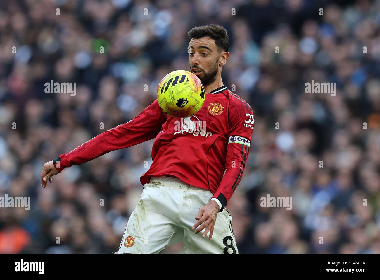 London, Großbritannien. November 2025. Bruno Fernandes von Manchester United in Aktion. Premier League-Spiel Tottenham Hotspur gegen Manchester United am Samstag, den 8. November 2025, im Tottenham Hotspur Stadium in London. Dieses Bild darf nur für redaktionelle Zwecke verwendet werden. Nur redaktionelles Bild von Andrew Orchard/Alamy Live News Stockfoto