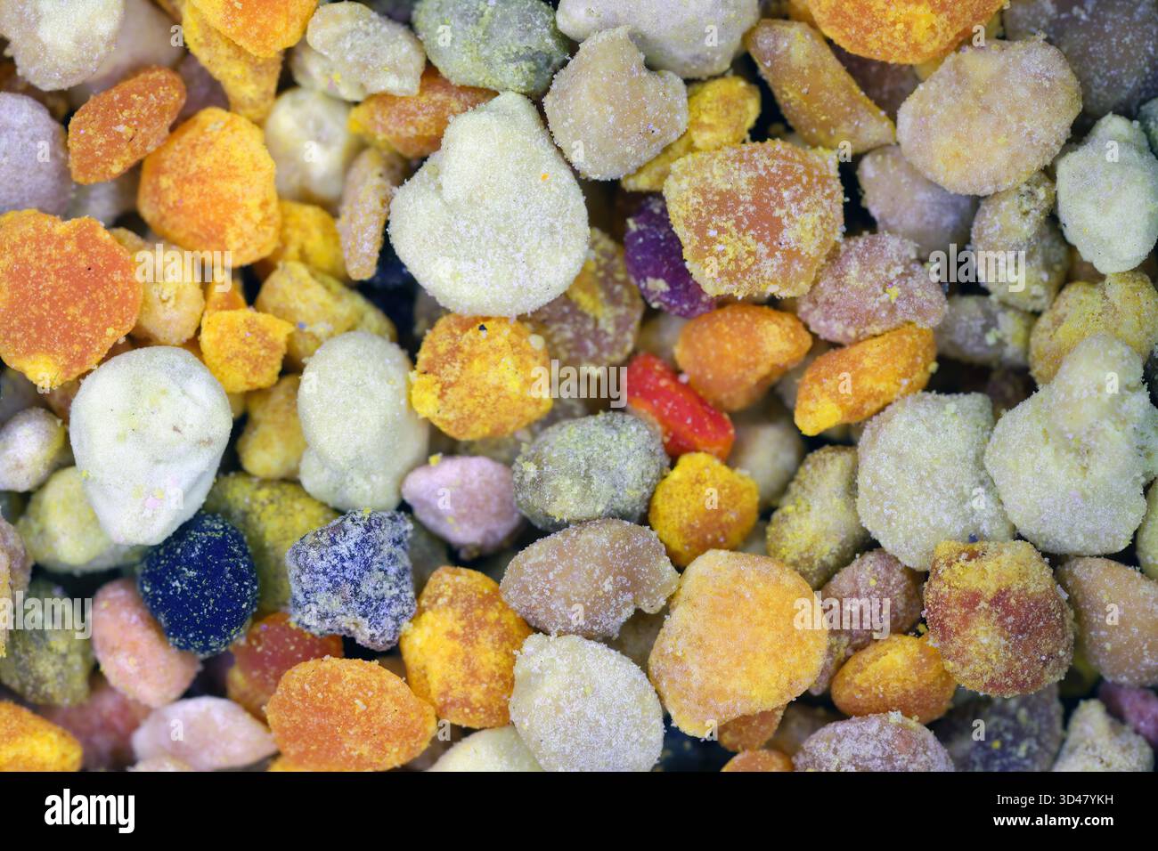 Von Bienen gesammelte und von Imkern entnommene Pollen. Mehrfarbige Pollenkörner aus verschiedenen Blüten. Stockfoto