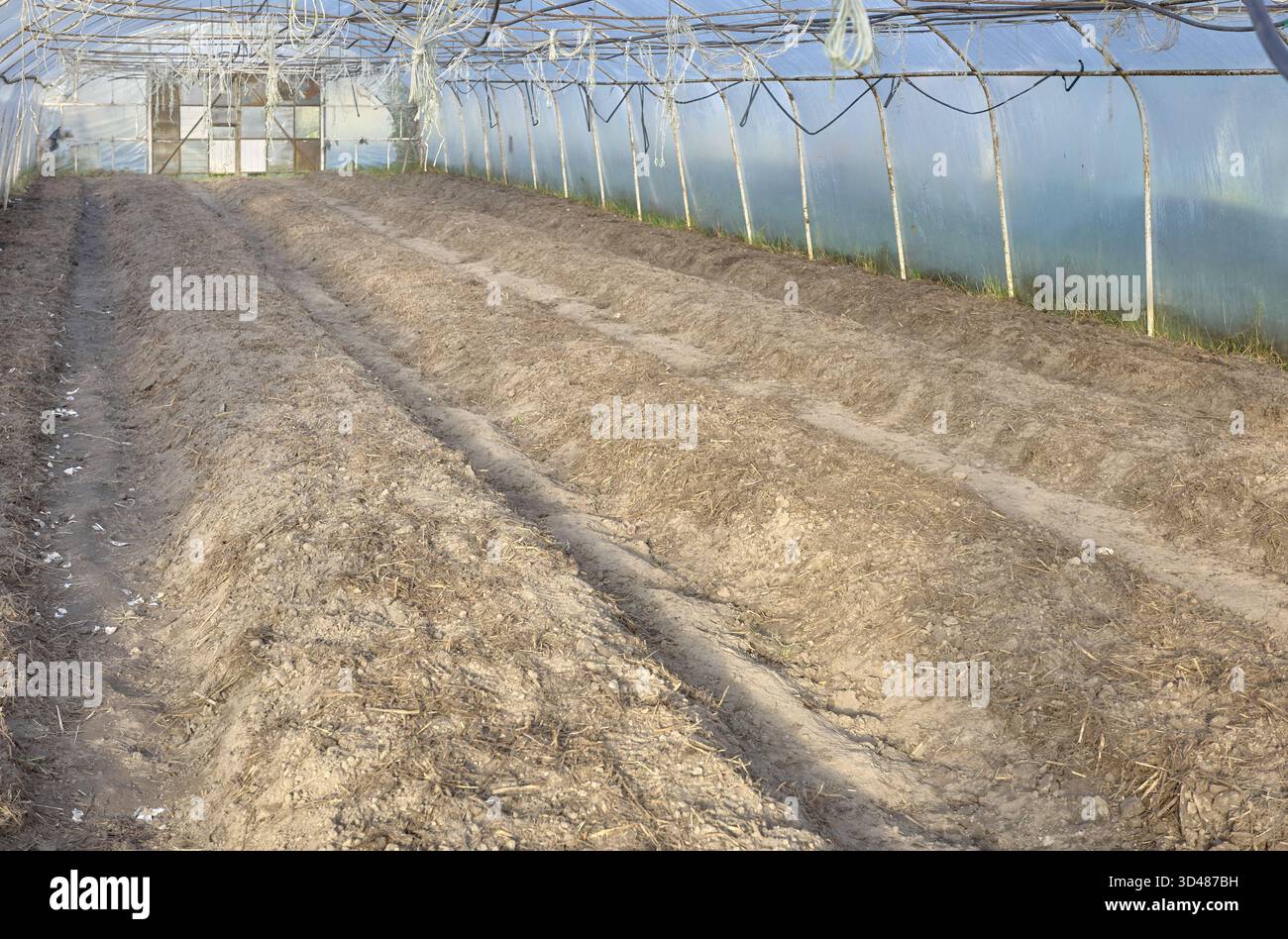 Im Inneren einer leeren ökologischen Gemüsegewächshausfarm, Schwerpunkt auf dem Boden. Stockfoto