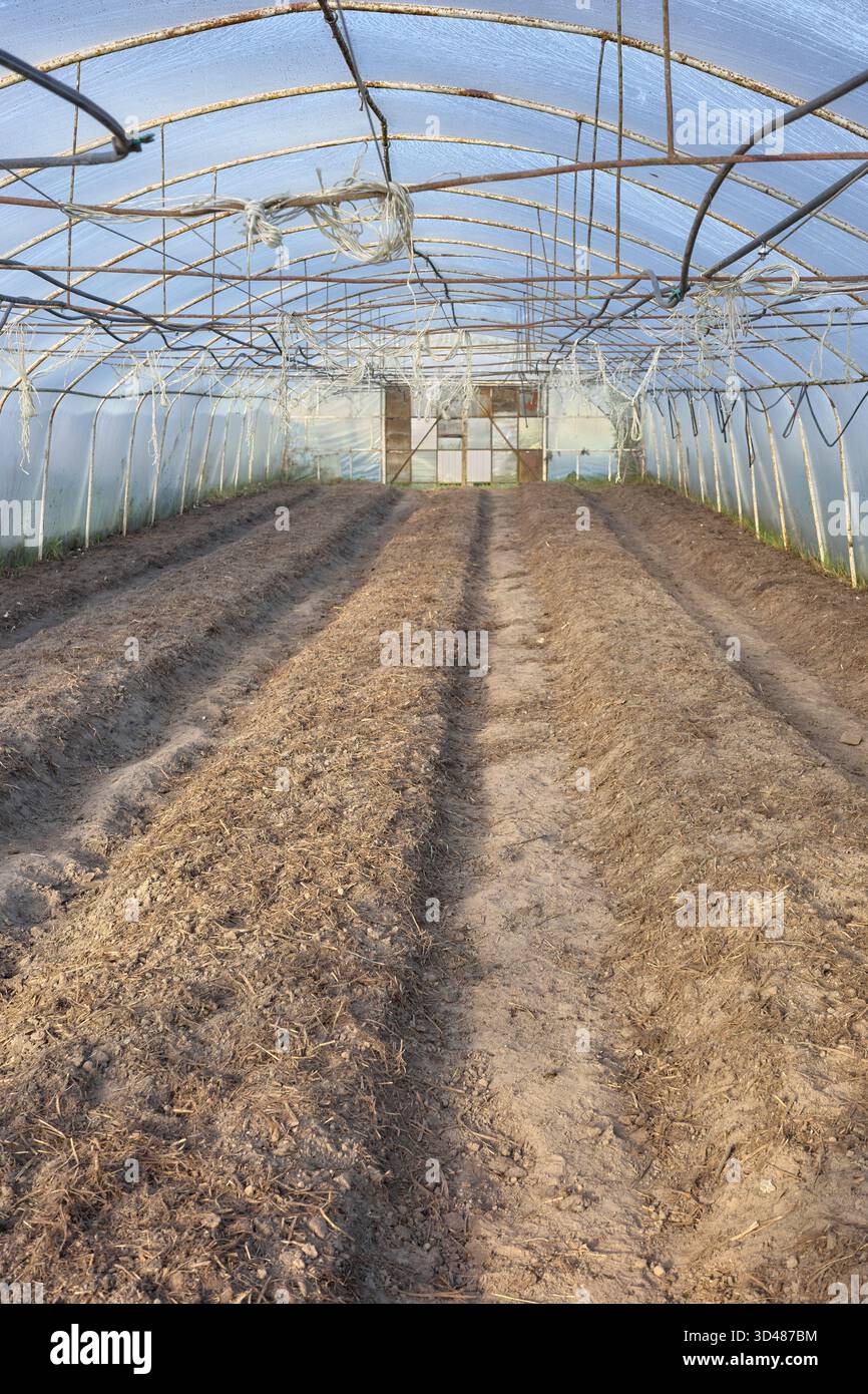Im Inneren einer leeren ökologischen Gemüsegewächshausfarm, Schwerpunkt auf dem Boden. Stockfoto