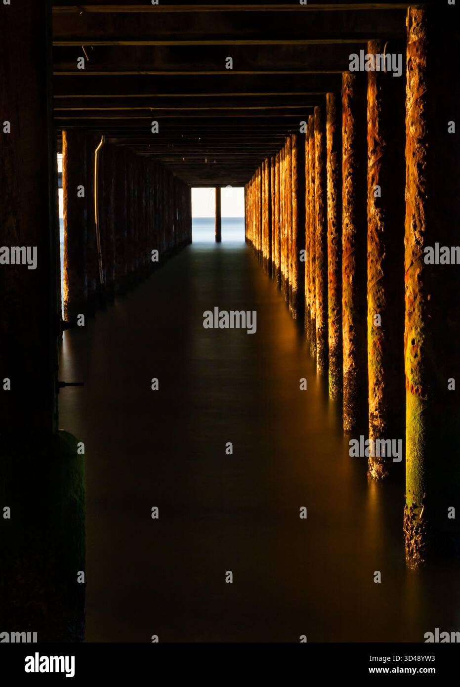 Unter dem Southwold Pier bei Sonnenaufgang mit warmem Licht, das die Stützpfeiler beleuchtet Stockfoto