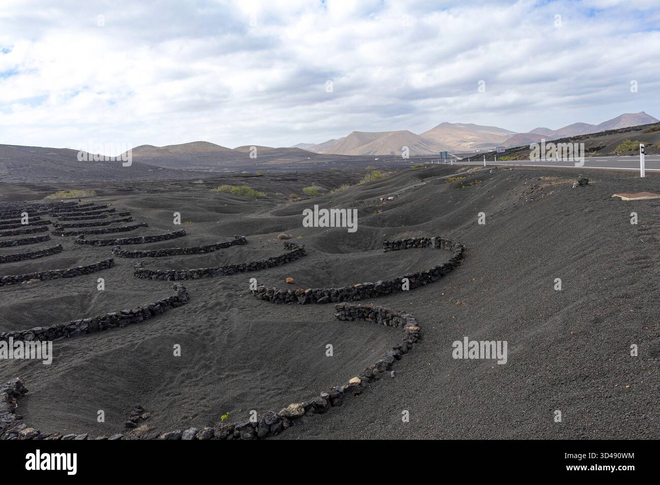 Weinberge im Landesinneren auf der Insel Lansaroti, Kanarischen Inseln. Die Rebstöcke werden in eine Höhle gepflanzt, um Regenfälle zu erfassen Stockfoto