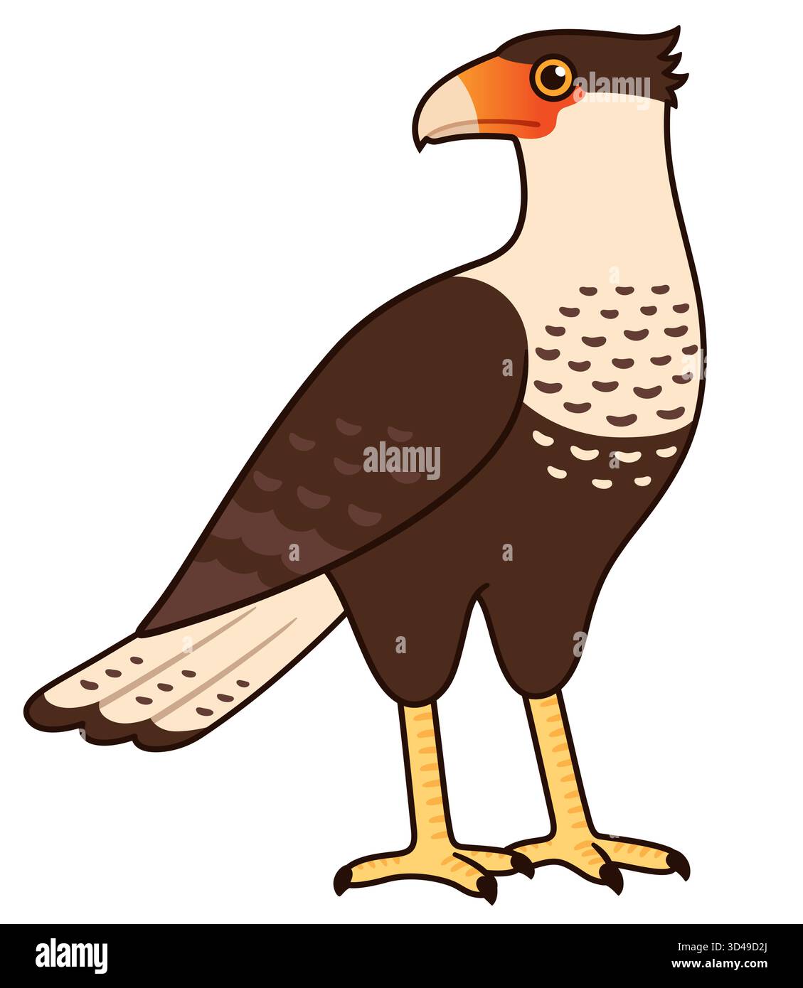 Illustration von Caracara (Traro, Carancho, mexikanischer Adler). Nord- und südamerikanischer Raubvogel. Isolierte Vektor-Clipart-Zeichnung. Stock Vektor