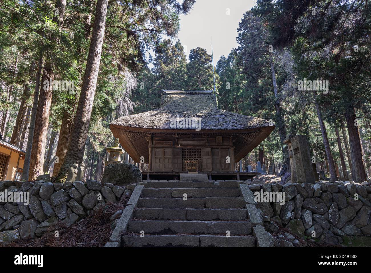 Buddhistischer Jokoji-Tempel zwischen großen Kiefern in Obuse in der Region Nagano in Japan Stockfoto