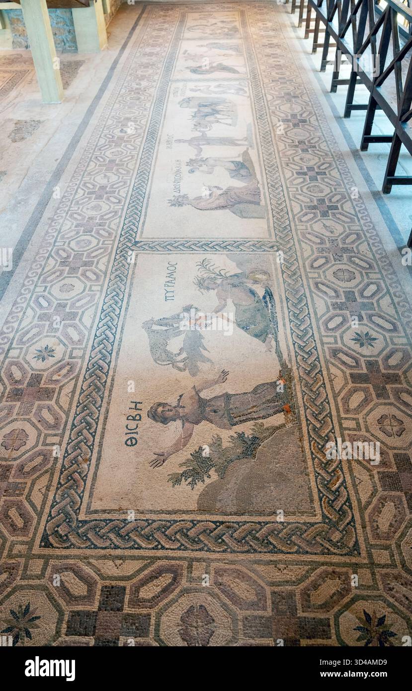 Haus von Dionysos, Paphos: Raum 16 vier Tafelmosaik bestehend aus Pyramios & Thisbe, Dionysos, Acme & Icarios, Poseidon & Amymone und Apollo & Daphne. Stockfoto