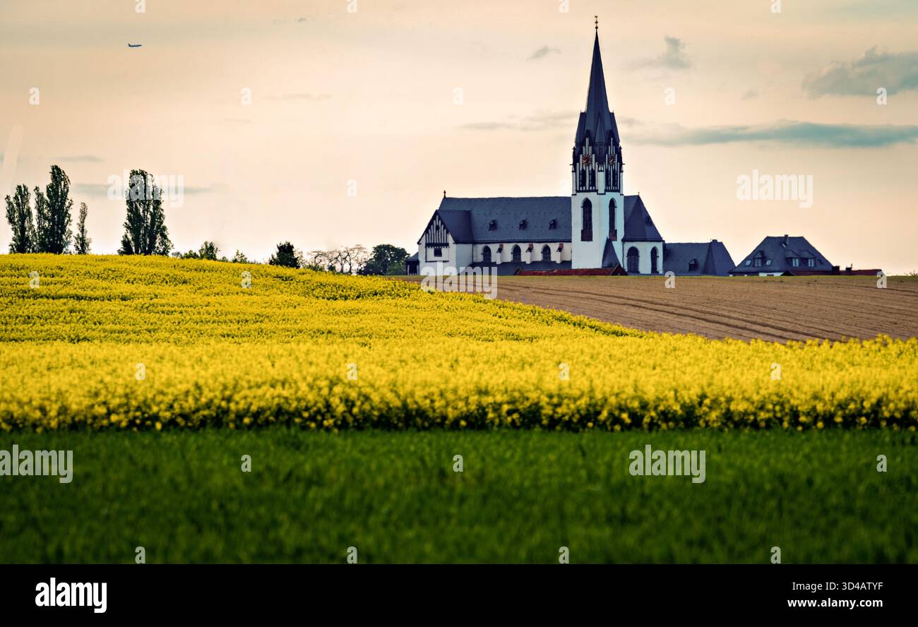 Kleine Kirche umgeben von blühenden gelben Rapsfeldern in einer ländlichen Frühlingslandschaft mit sanftem Sonnenlicht und sanften Wolken Stockfoto