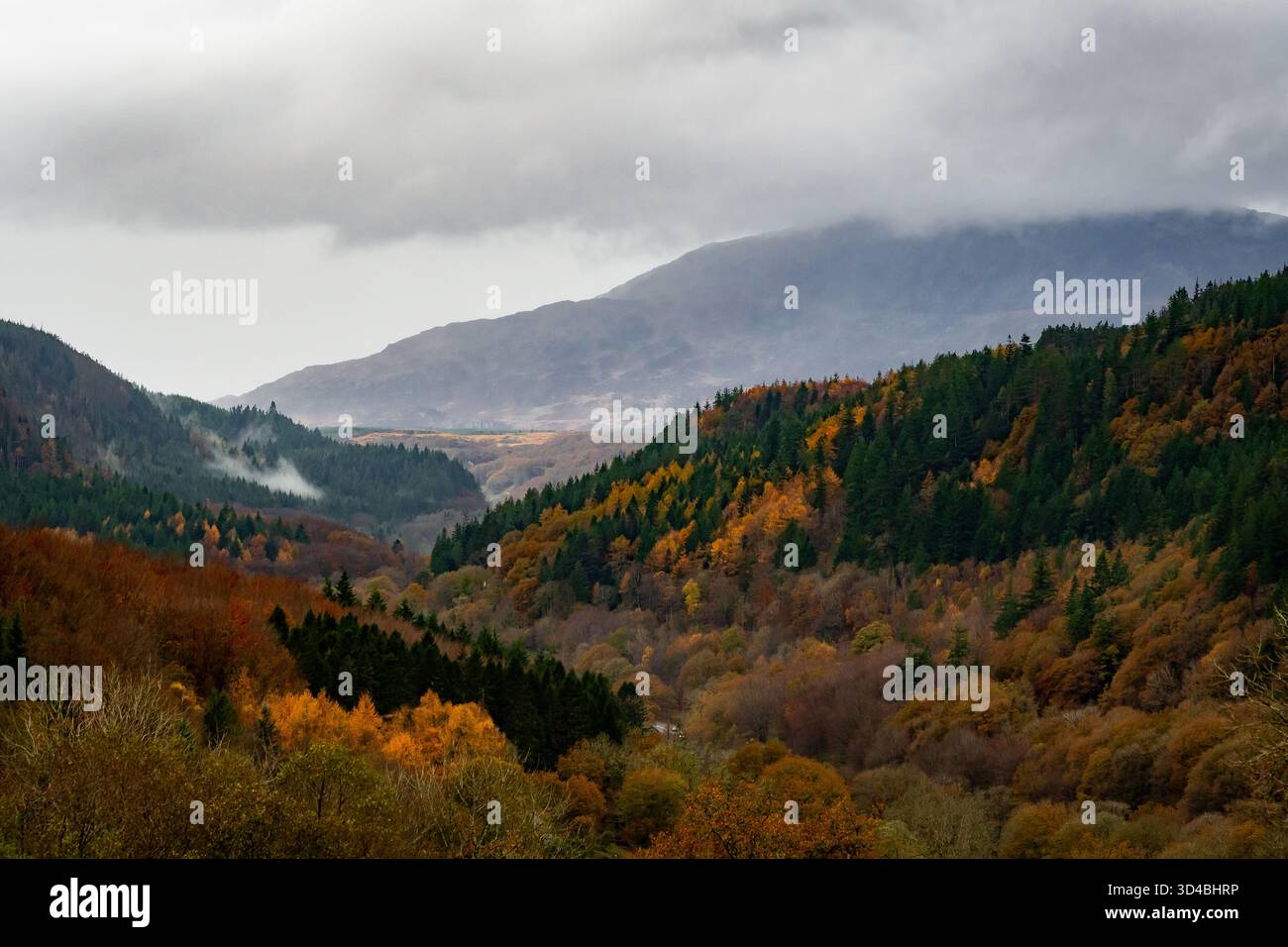 Der Blick auf Moel Siabod im Parc Cenedlaethol Eryri (Snowdonia Nationalpark am Gedenktag Sonntag 2025, Sonntag 9. November 2025. Stockfoto